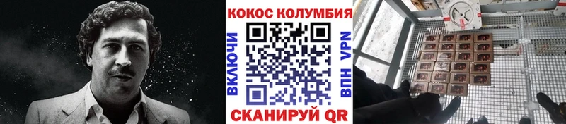 мориарти состав  Беслан  Кокаин Колумбийский 