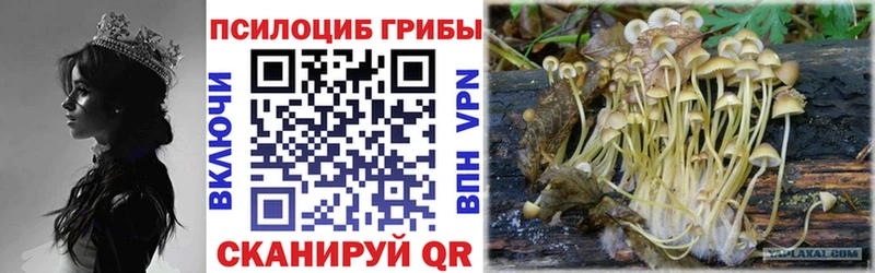 Псилоцибиновые грибы прущие грибы  Беслан 